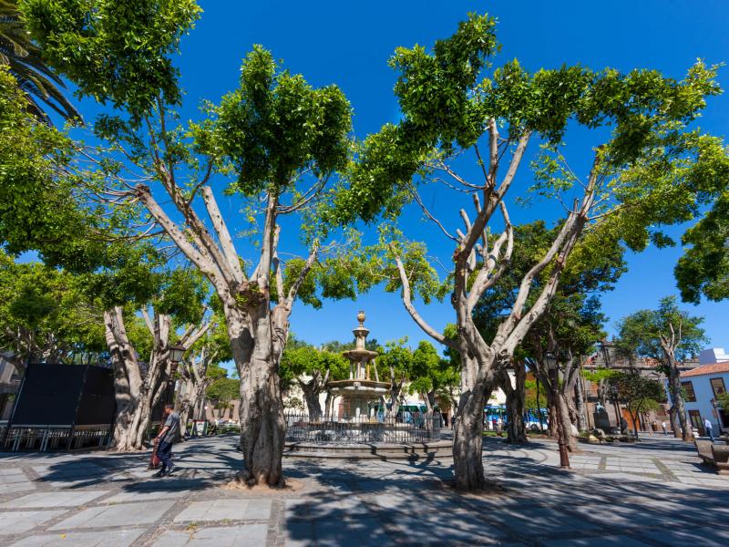 san-cristobal-de-la-laguna