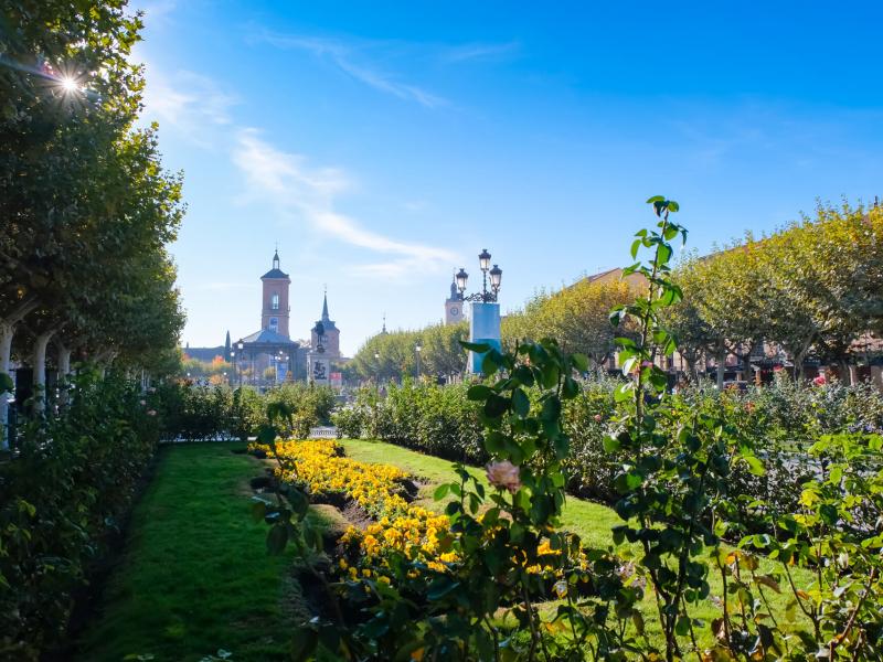 alcala-de-henares